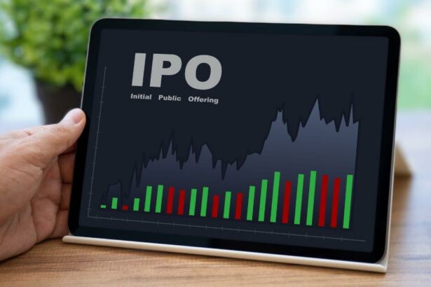 Borana Weaves IPO