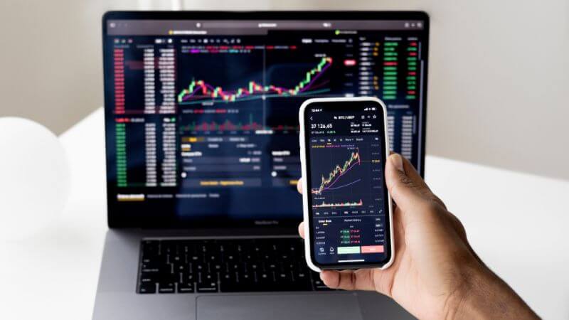 Leela Hotels IPO