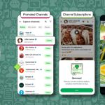 WhatsApp Ads