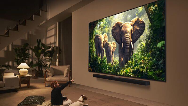 LG QNED evo Features