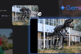 Image Into Video With Google Gemini