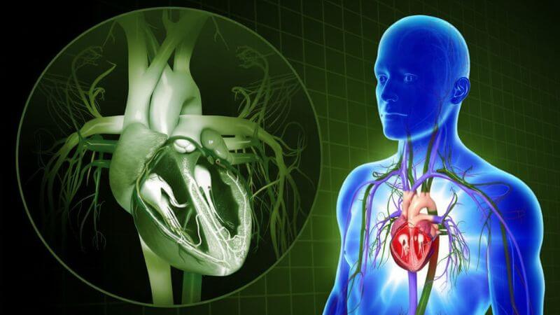 Oxford Scientists Develop AI Tool Heart Failure Risk